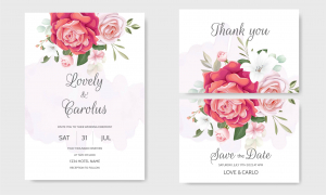 وکتور کادر وحاشیه با گل های صورتی و سفید